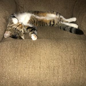 Meet your Posher, Avery